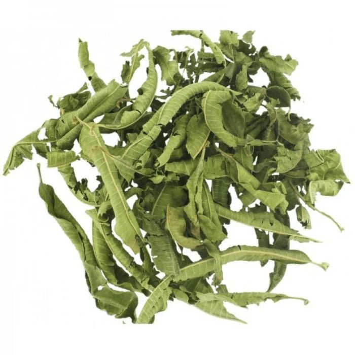 🌿 Verveine Odorante – Herbe Aromatique aux Propriétés – Guide 2026