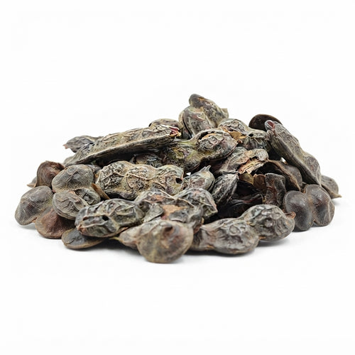 Acacia Nilotica (Al Qarad) – Matière Végétale Traditionnelle | Usage Traditionnel
