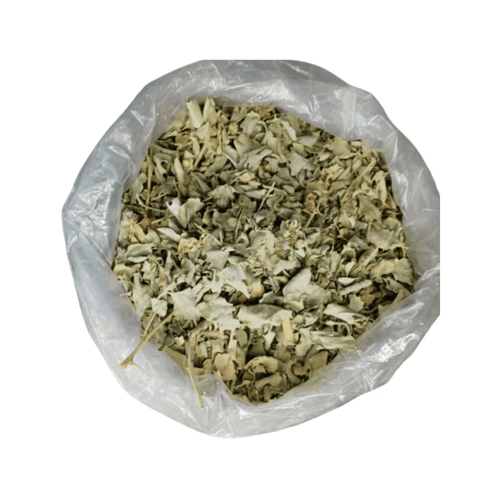 Atriplex Halimus (El Gtaff) – Feuilles Séchées | Plante Méditerranéenne Traditionnelle