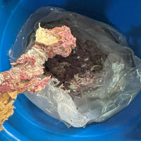 Asafoetida El Haltit Hantit – Résine Traditionnelle