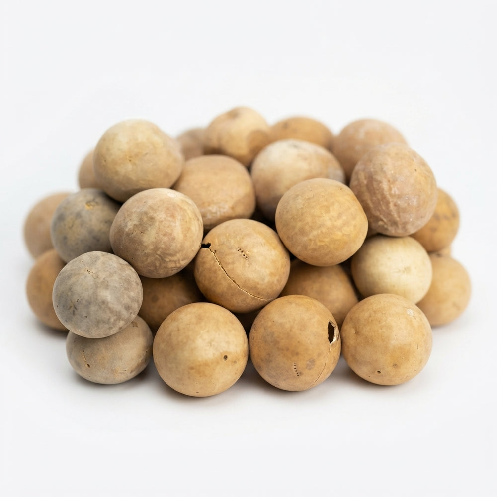 Coloquinte Vraie Séchée – Plante Traditionnelle | Digestion, Cheveux & Articulations