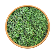 Flyou Menthe Poivrée 50g / 100g / 200g – Plante Aromatique Naturelle