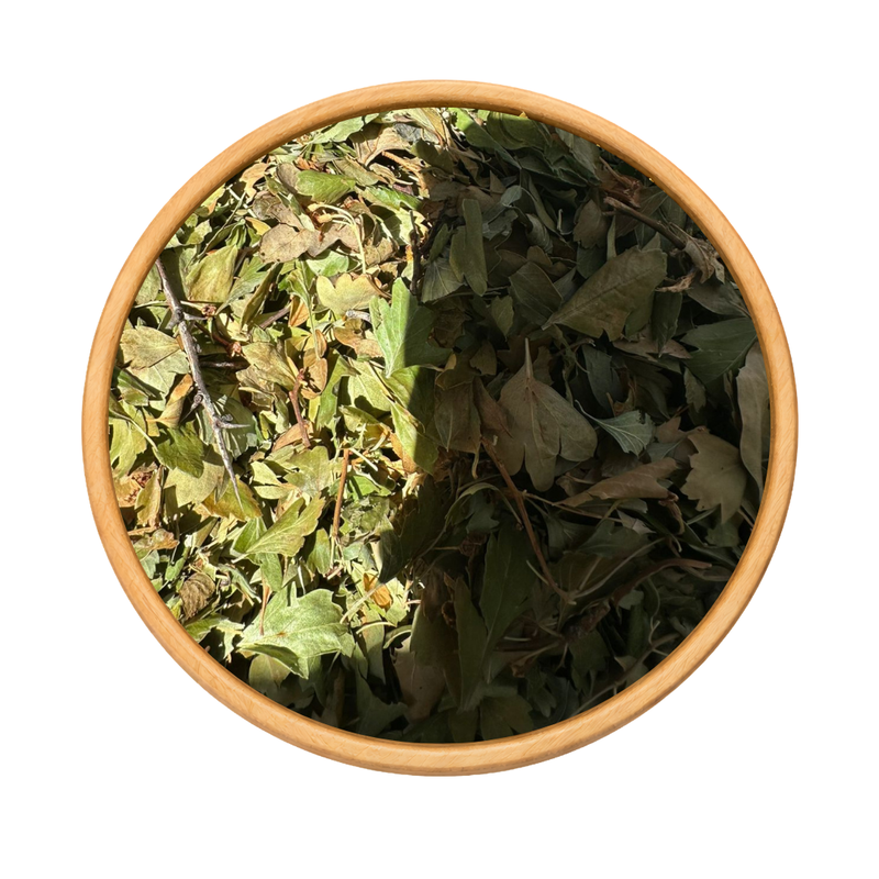 Tisane Aubépine Bio Zaarour 50g / 100g / 200g – Feuilles Naturelles Maroc
