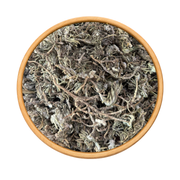 Germandrée Chenkdoura 50g / 100g / 200g – Herbe Sauvage Naturelle