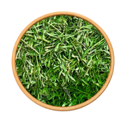 Thym Zaitra de Provence 50g / 100g / 200g – Herbe Aromatique Naturelle