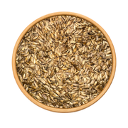 Graines de Chardon (Chouk Jmal) – شوك الجمل | Plante Sauvage Naturelle