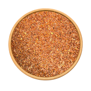 Graines de Radis – Naturelles pour Culture & Microgreens