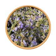 Tisane El Handabae – Chicorée Séchée Naturelle