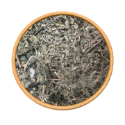 El Gtaff Maleh – Atriplex Halimus Plante Sauvage