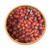 Heb El Ghar – Grains de Laurier Noble (Laurus Nobilis)