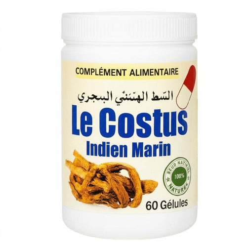 Costus Indien en Gélules – Plante Médicinale Naturelle | Immunité, Digestion & Bien-Être