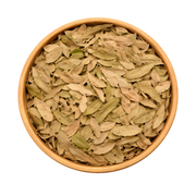 Feuilles de Pistacia lentiscus (El Darw الضرو) – Infusion & Bien-être Naturel