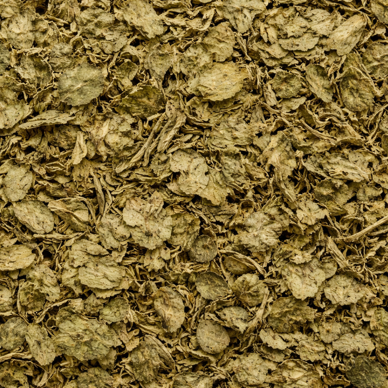 Menthe Pouliot Infusion Feuilles 200g – Mentha pulegium Naturelle