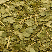 Feuilles de Margousier (Neem) – 50g / 100g / 200g – Plante Naturelle