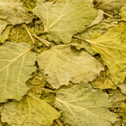 Feuilles de Figuier Séchées – 50g / 100g / 200g – Infusion Naturelle