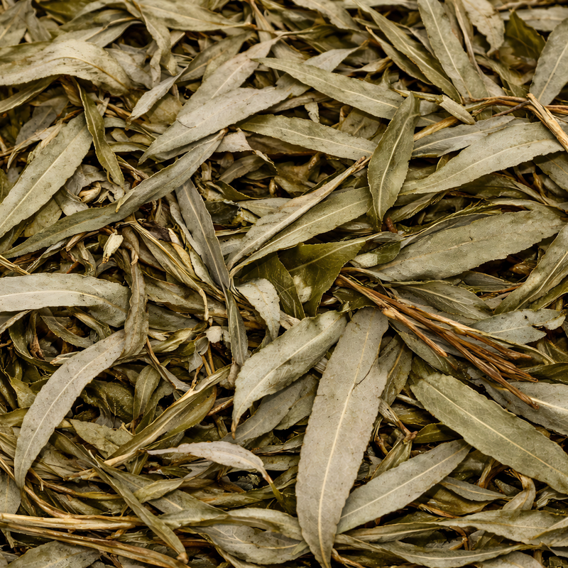 Feuilles de Saule Séchées | Al Safsaf (50g / 100g / 200g)