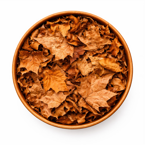 Feuilles de Convolvulus – Plante Naturelle & Infusion Bien-être
