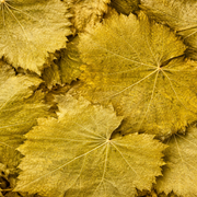 Feuilles de Vigne Séchées – Al Enab | 50g / 100g / 200g