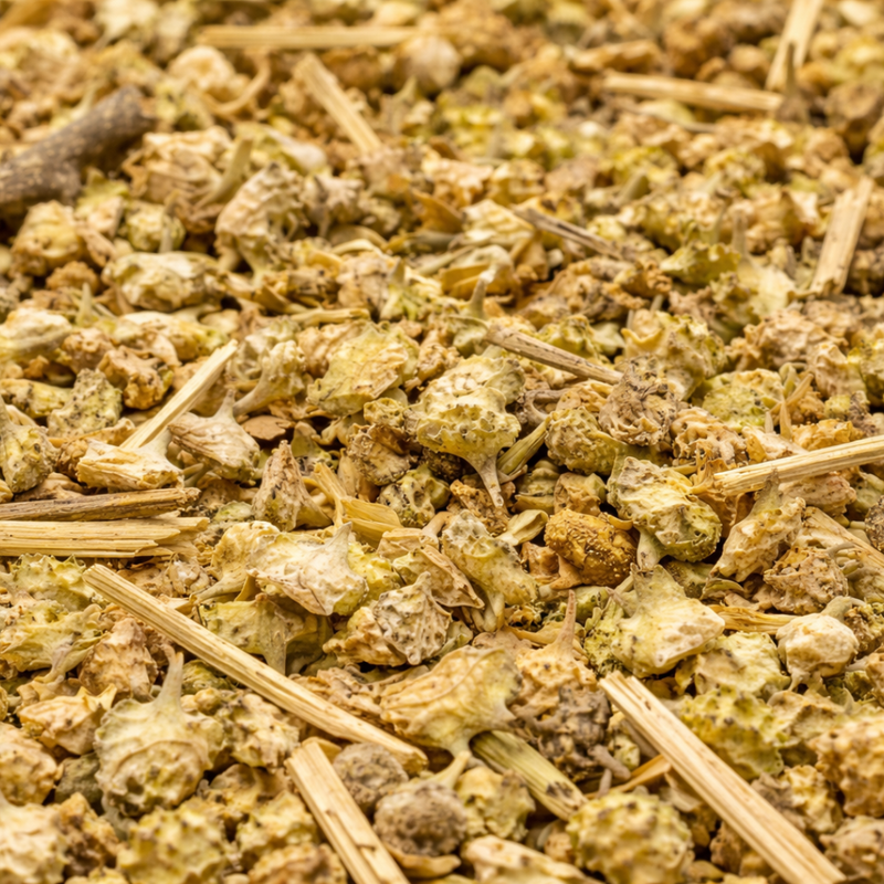 Tribulus Terrestris (El Hasska) – Fruits Séchés en Vrac | 50g / 100g / 200g