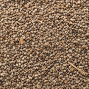 Sakarane 20g – Sekarane (Jusquiame) | Fumigation Traditionnelle