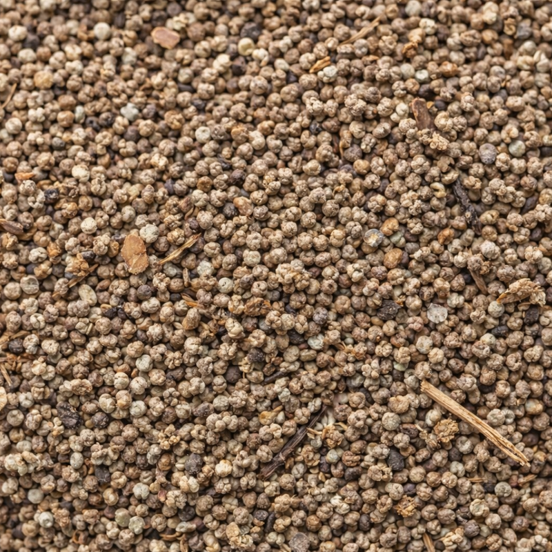Sakarane 20g – Sekarane (Jusquiame) | Fumigation Traditionnelle
