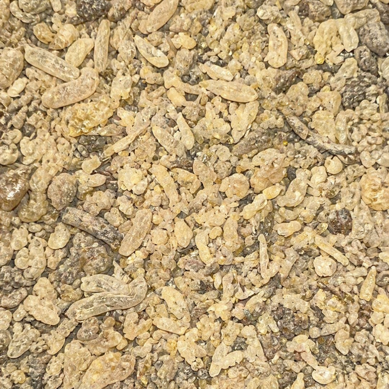 El Sandaroz الصندروز 50g / 100g / 200g – Résine Naturelle Traditionnelle
