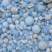 El Jarjar Bleu 50g / 100g / 200g – Produit Traditionnel Marocain