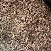 Graines Lssan Tir – Langue d’Oiseau Naturelle