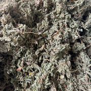 Turquette Herniaria Herrast El Hjar 50g / 100g / 200g – Plante Naturelle