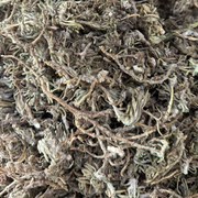 Germandrée Chenkdoura 50g / 100g / 200g – Herbe Sauvage Naturelle