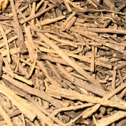 Takandicht (تقنديشت) – Racine de Pyrèthre d’Afrique Naturelle
