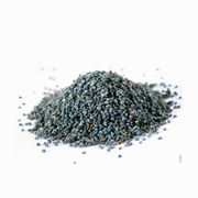 Graines de Pavot Bleu – El Khachkhach