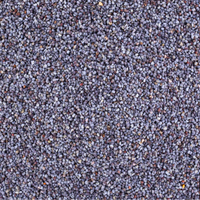Graines de Pavot Bleu – El Khachkhach