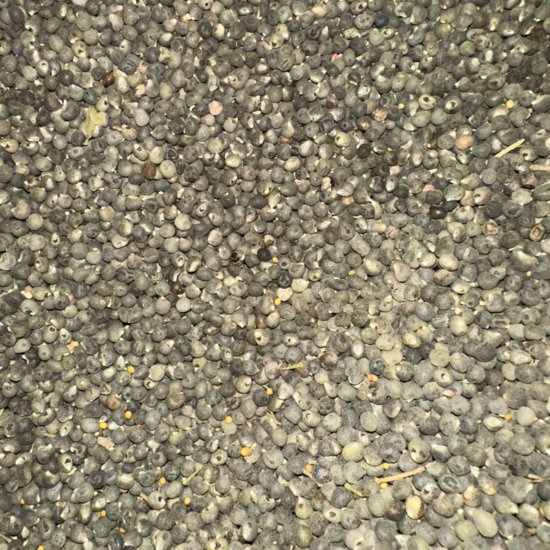 Mouloukhia (Grains de Gambos / Mauve) – ملوخية Authentique