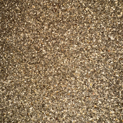 Graines de Chia (El Chiya) – الشيا Superaliment Naturel