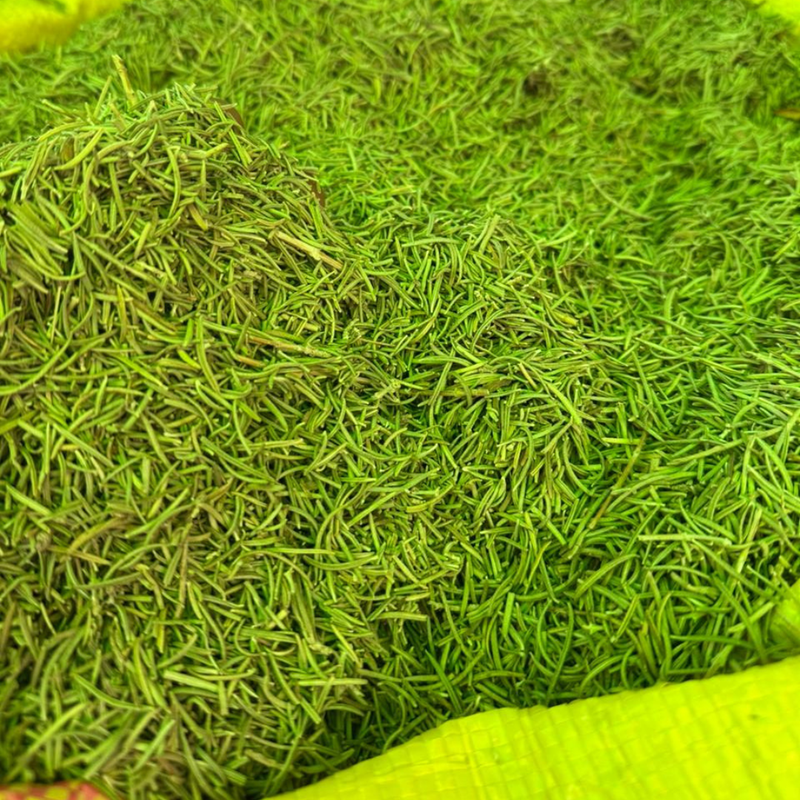 Yazir Romarin Beldi Marocain 50g / 100g / 200g – Plante Naturelle