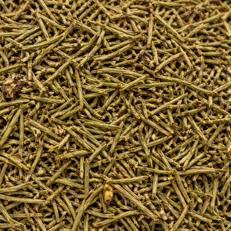Encens Plante Génévrier – El Arâr Bio du Maroc | العرعار Naturel