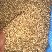 Zroda Mahaleb – Graines de Mahaleb Aromatiques
