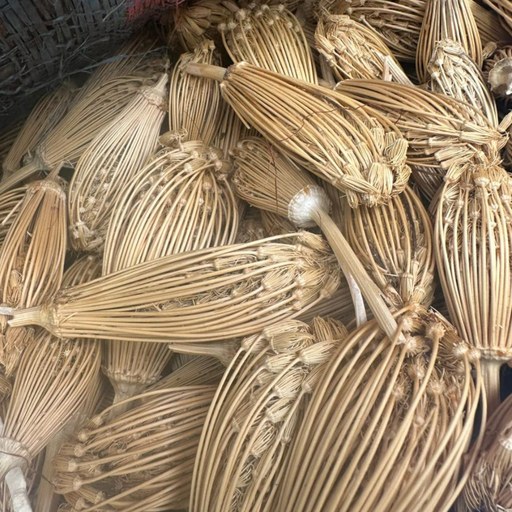 Ammi Visnaga – Bouchnikha Graines & Cure-Dents Naturel