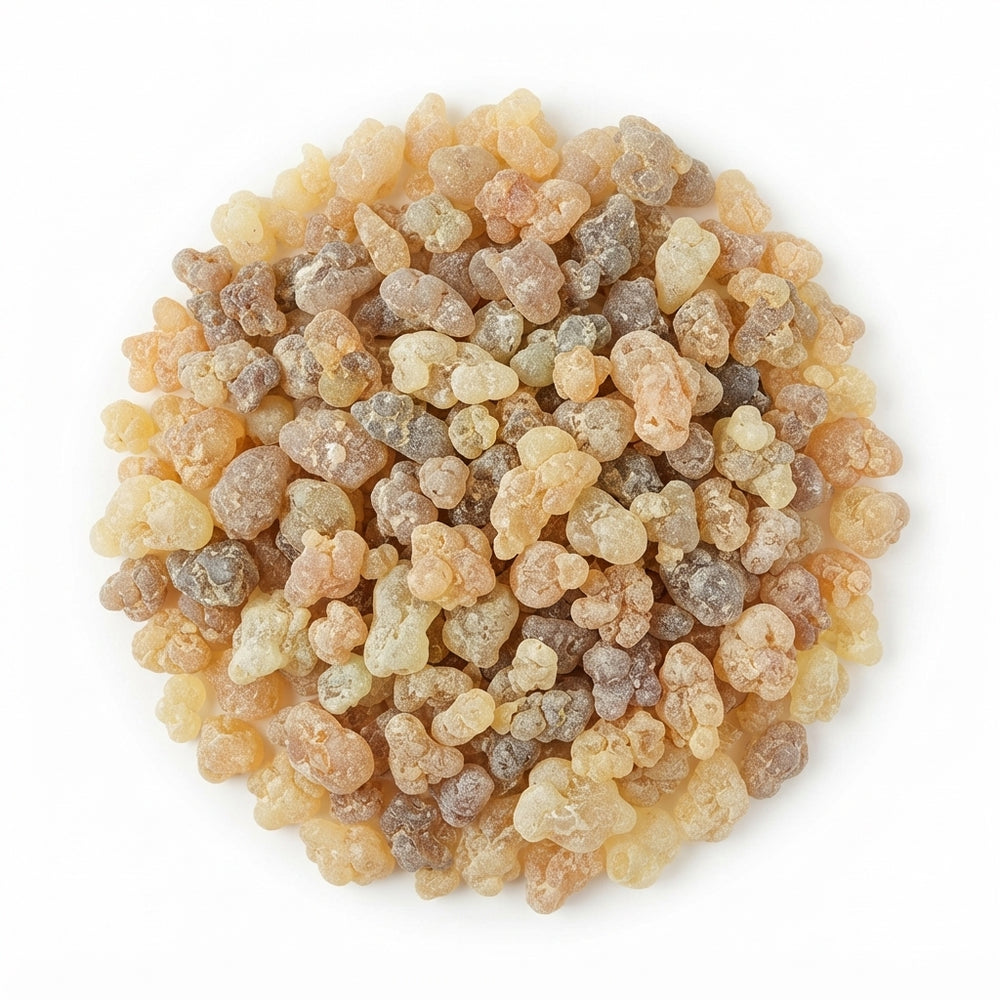 Encens Oliban Naturel en Grains 100g – Louban Dakar | 100 % Pur