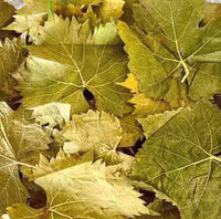 Feuilles Séchées de Vigne | Al Enab – Disponibles en 50g, 100g et 200g