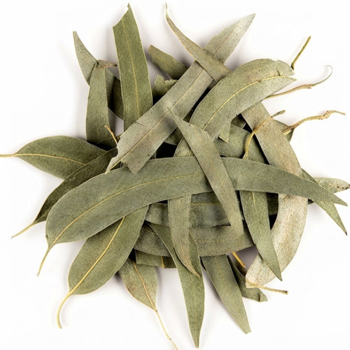 Feuilles d'Eucalyptus 50g, 100g et 200g | Plante Naturelle & Infusion Bien-être