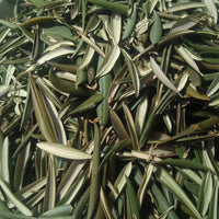 Feuilles d’Olivier | Zaaytoune | 50g | 100g | 200g