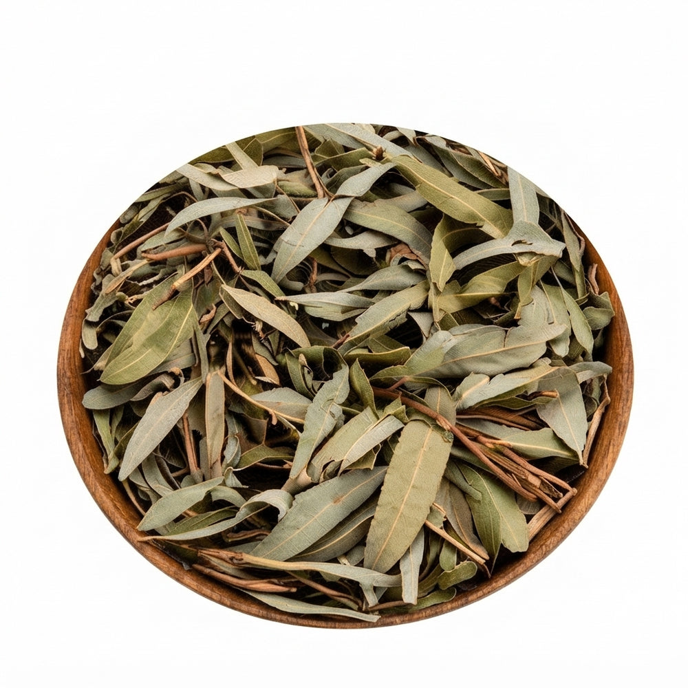 Feuilles de Saule Séchées | Al Safsaf