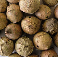 Takaout Tamarix aphylla - Tamarix Galle - 20g | 50g | 100g | 200g