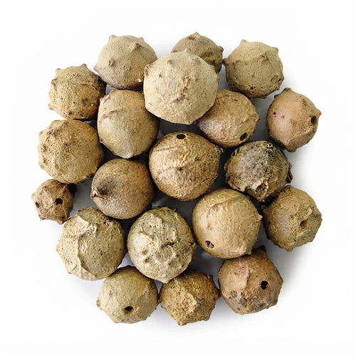 Takaout Tamarix aphylla 50g 100g 200g