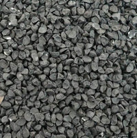 Graines d'Oignon – 50g, 100g ou 200g | Remède Naturel Polyvalent