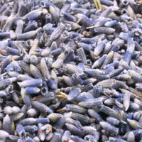 Graines de Lavande – Soins et Infusions Relaxants