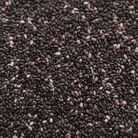 Graines de Menthe 50g | 100g | 200g | Fraîcheur naturelle à portée de main