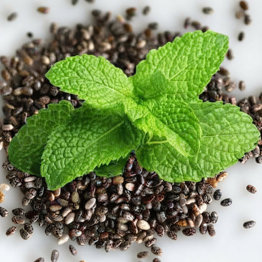 Graines de Menthe 50g | 100g | 200g | Fraîcheur naturelle à portée de main